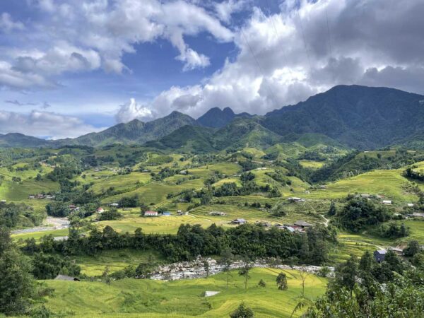gorden rice fields in Y Linh Ho village