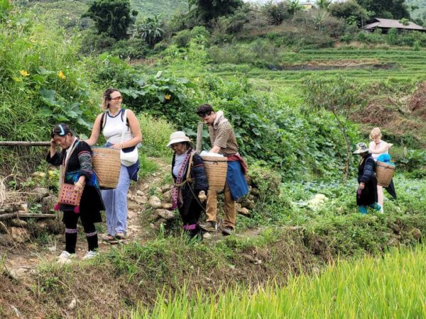 a group trekking on the rice field